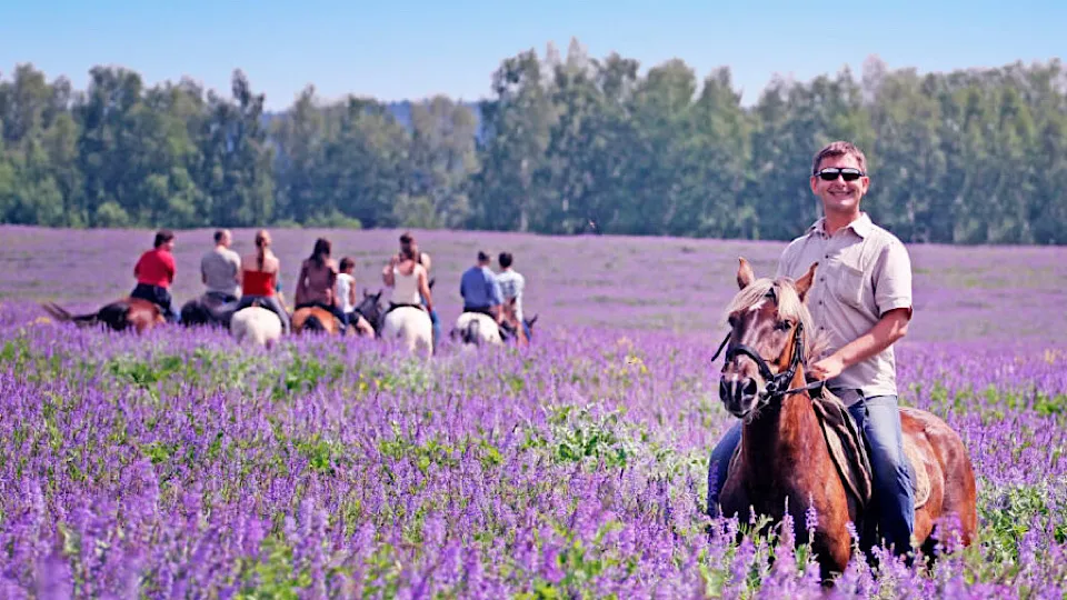 Фото: ранчо «Аванпост»