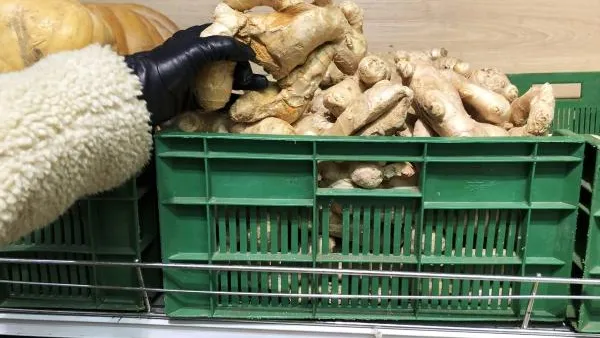 Хирург Закурдаев объяснил полезные свойства напитка из имбиря с лимоном