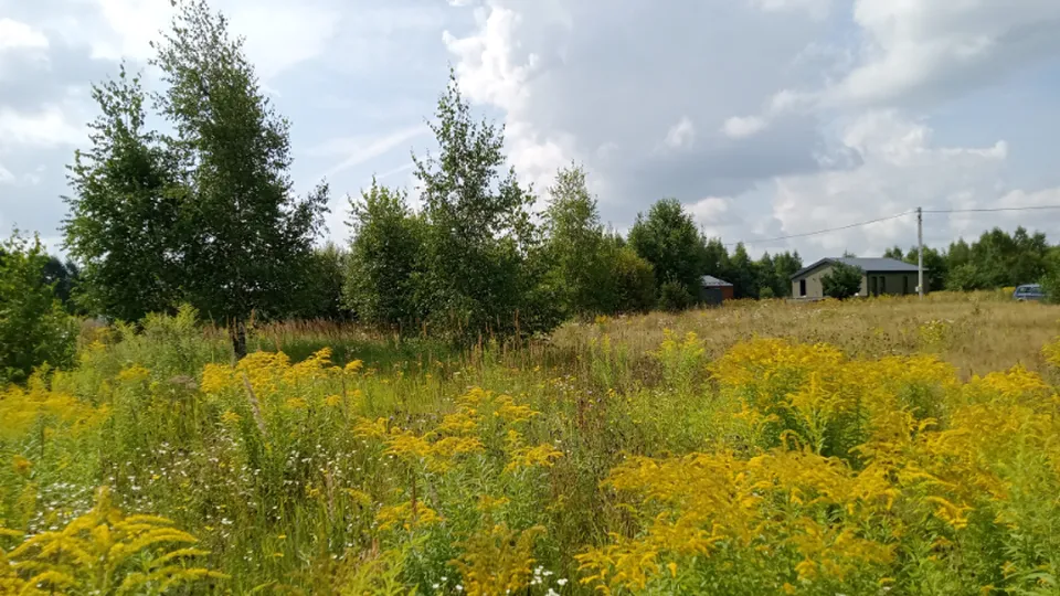 Фото: Единый портал торгов Московской области