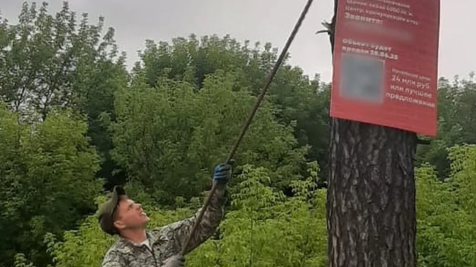 Фото: ГАУ МО «Мособллес»