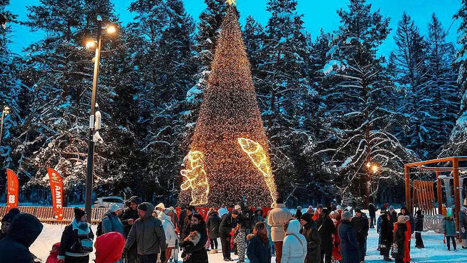Фото: Министерство благоустройства Московской области