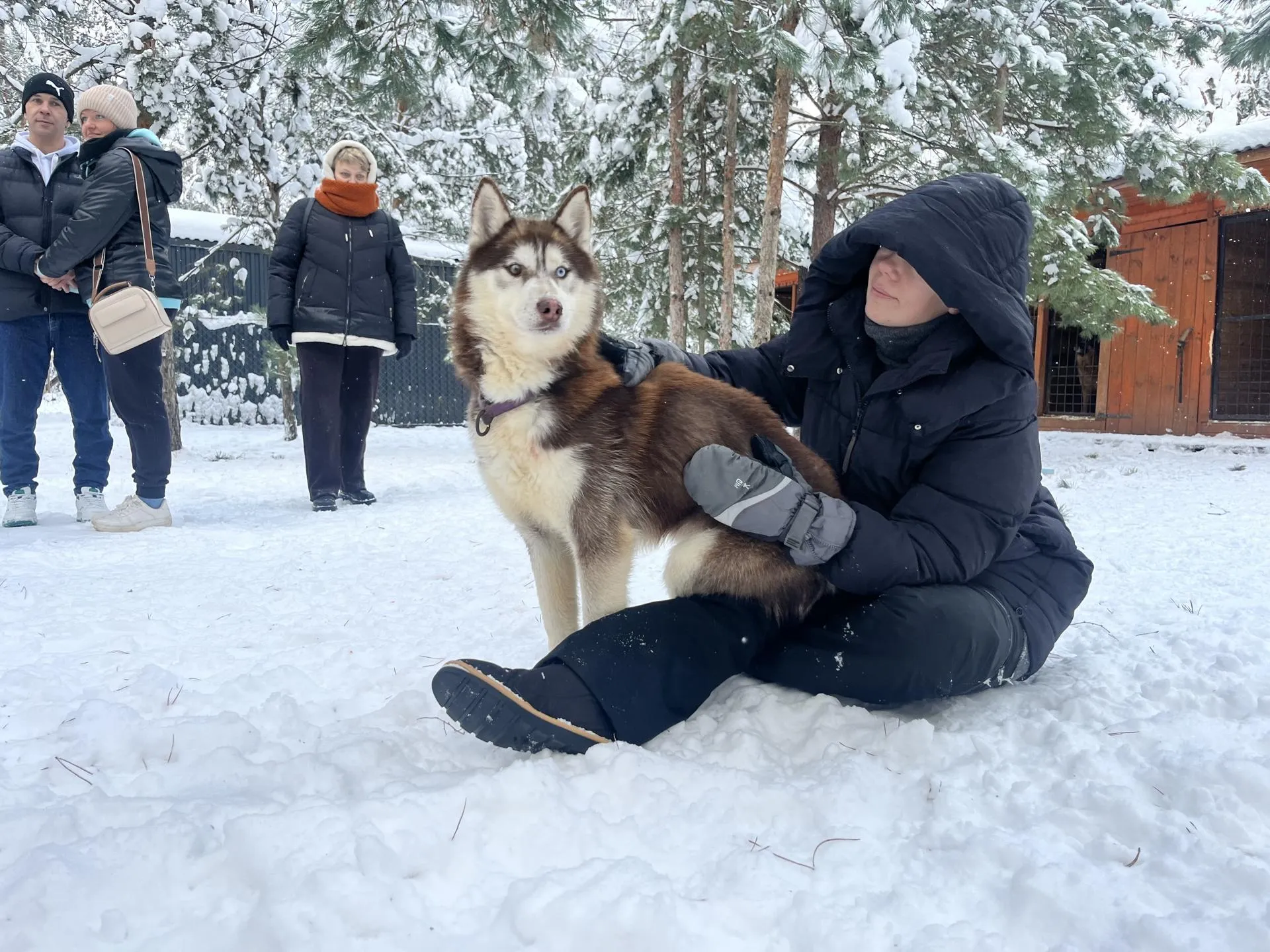 Фото: МедиаБанк Подмосковья/Ангелина Стельмух