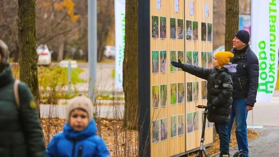 фото: Министерство благоустройства Московской области