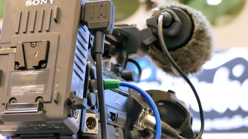 Фото: pxhere.com