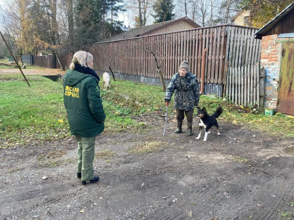 Фото: Комитет лесного хозяйства МО