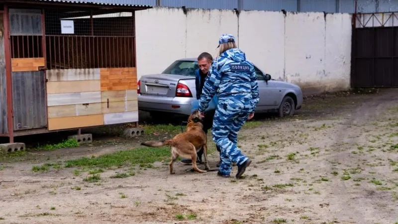 Пресс-служба администрации городского округа Воскресенск