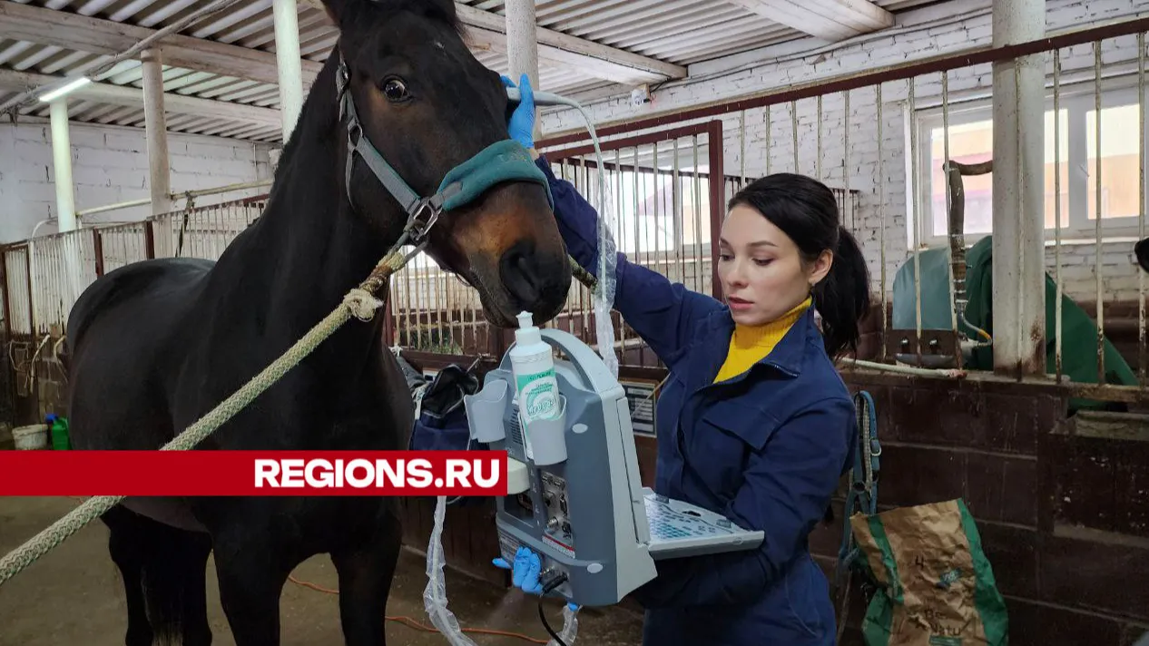 Фото: Яна Шаливская