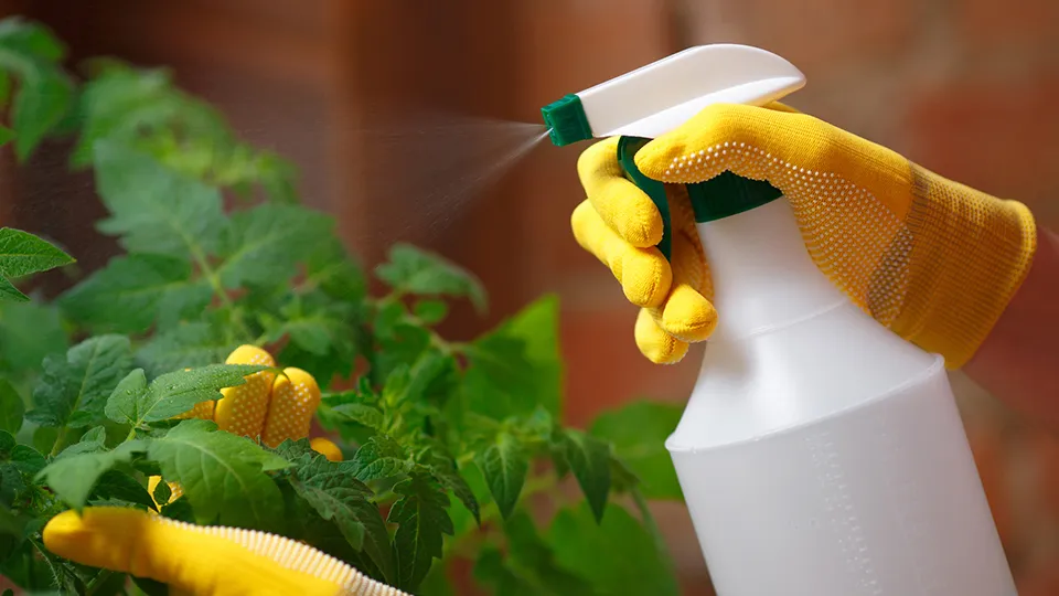 Фото: istockphoto.com