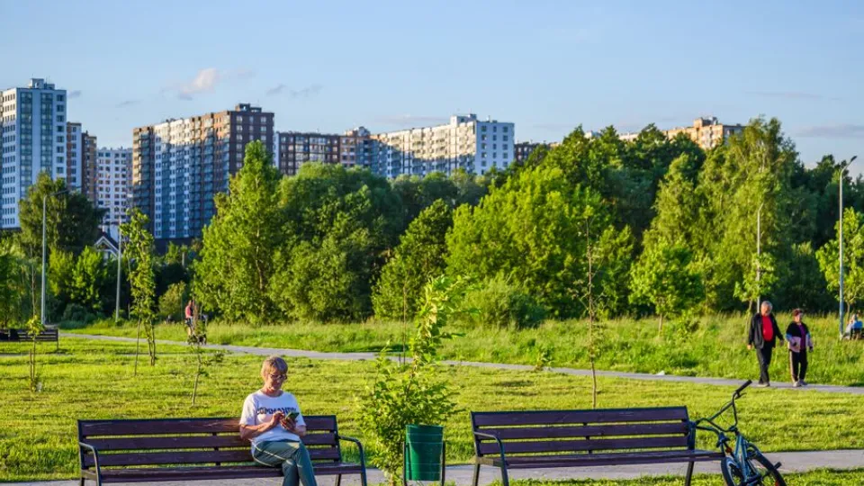 Фото: медиасток.рф