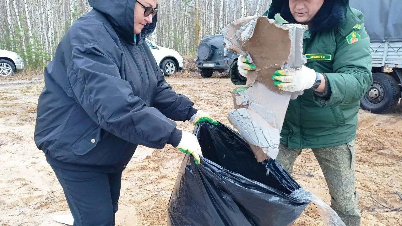 Фото: Комитет лесного хозяйства МО