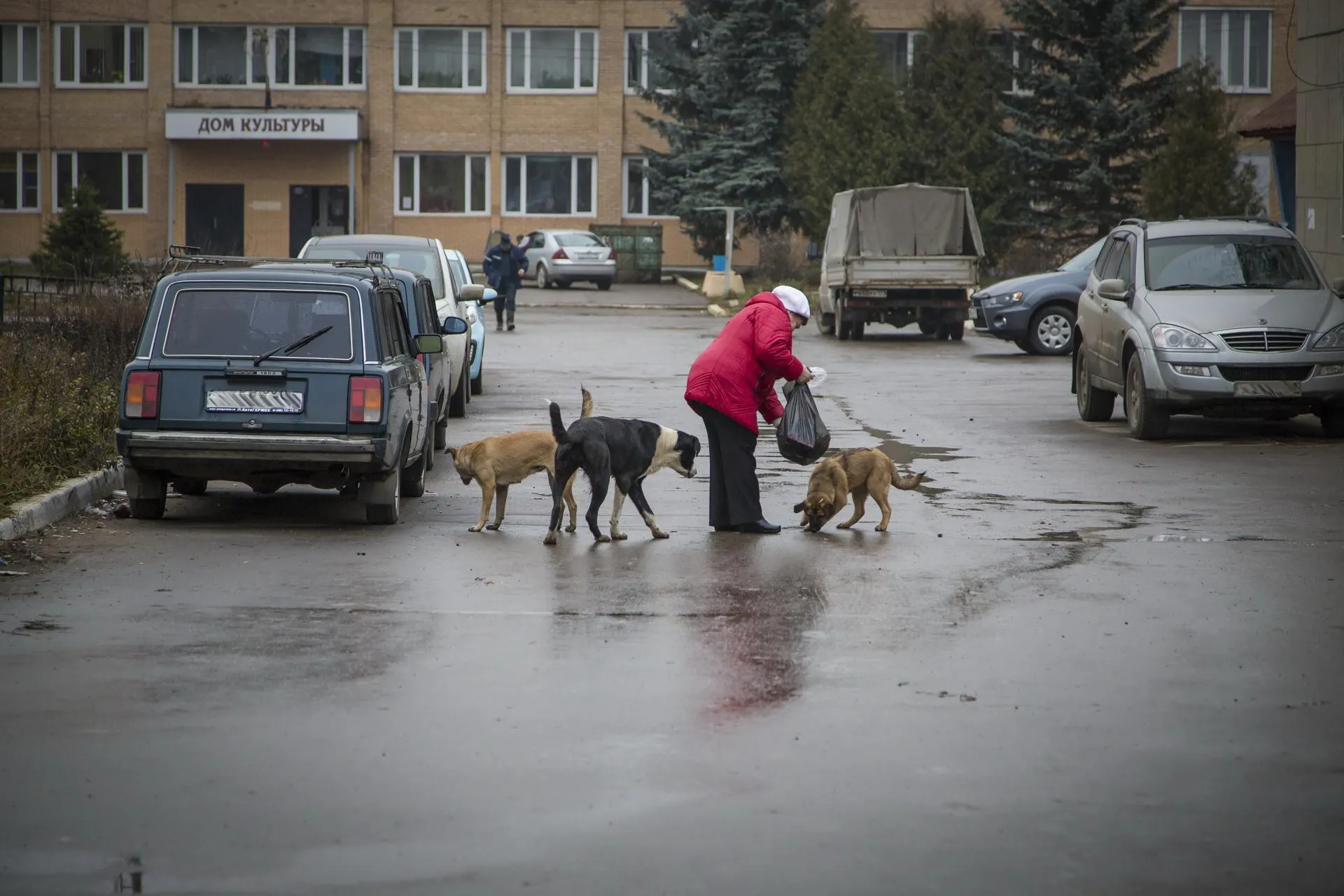 Фото: Павел Попов