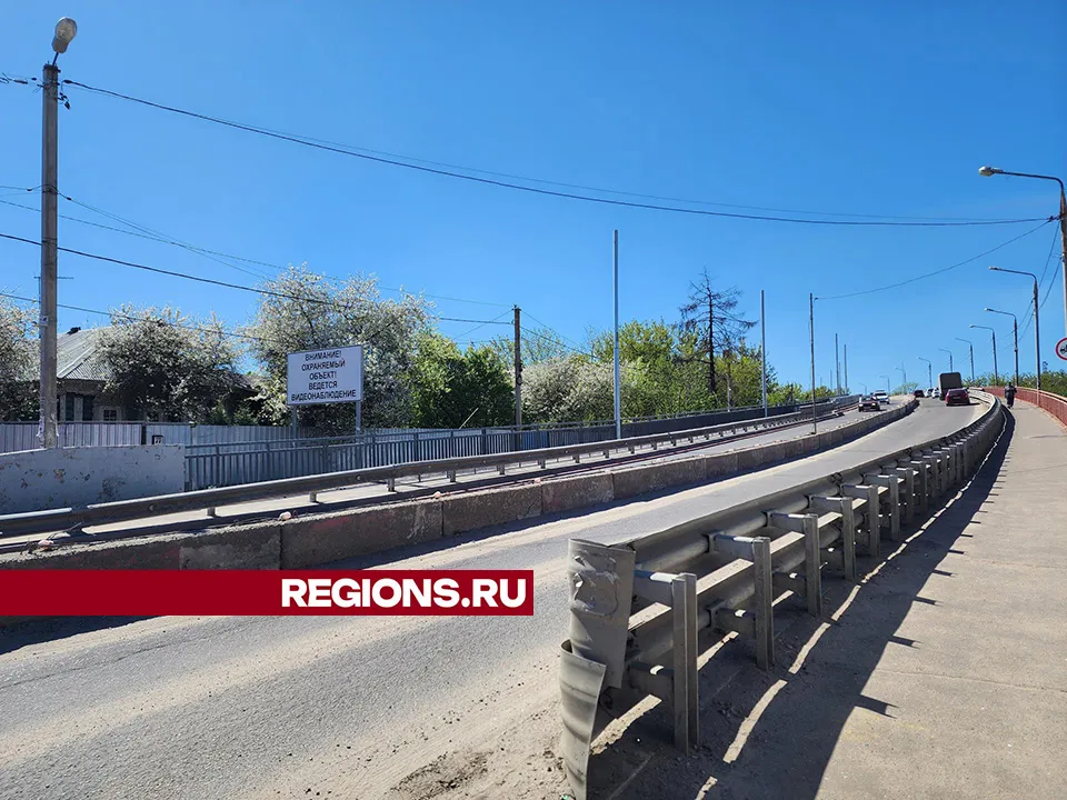 Фото: Светлана Плотникова