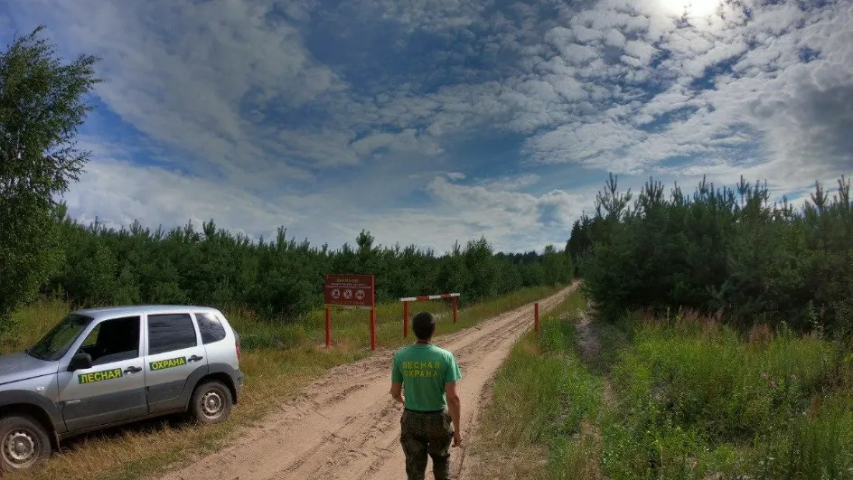 Фото: Комлесхоз МО