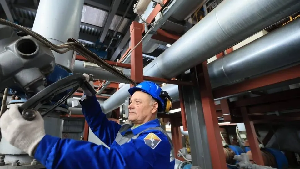 Фото: пресс-служба администрации г.о. Химки