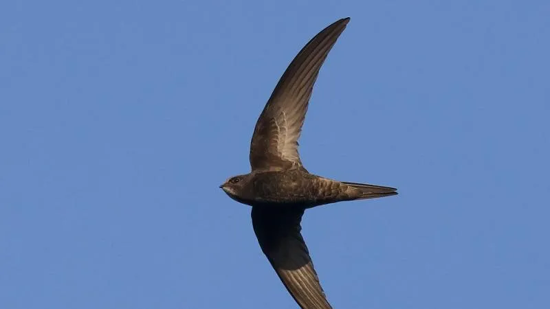 Фото: ПФ «Верховье»