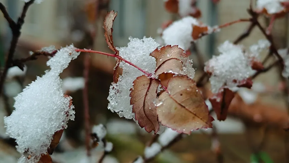 Фото: МедиаБанк Подмосковья/Екатерина Дятловская