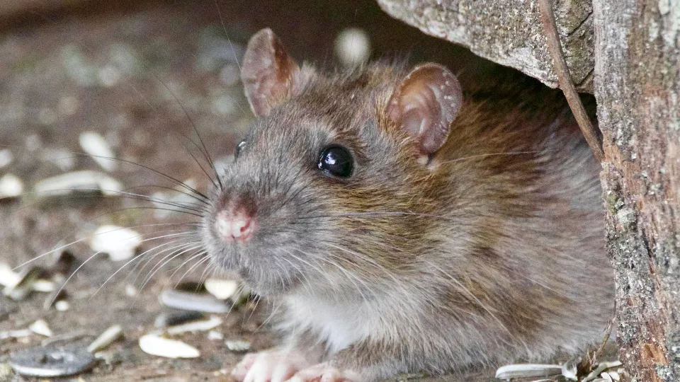 Фото: unsplash.com