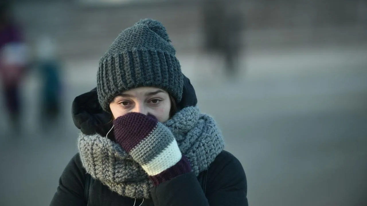 медиасток.рф