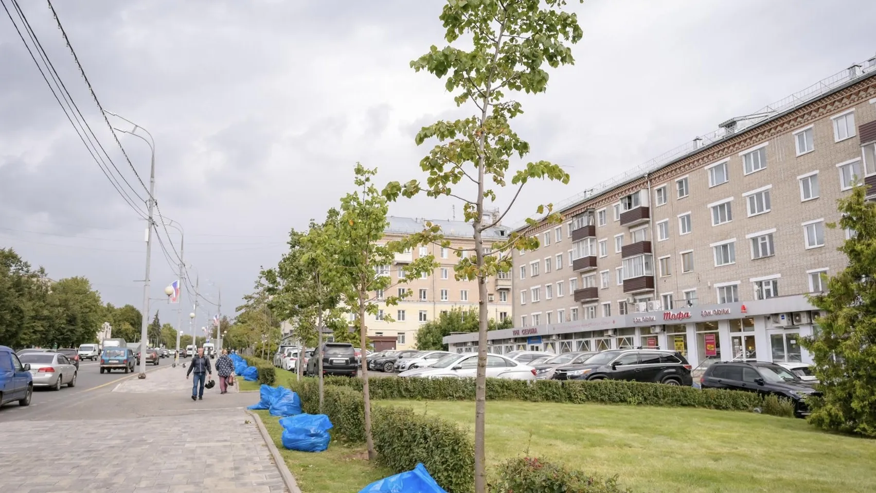 Фото: пресс-служба администрации Сергиево-Посадского г.о.