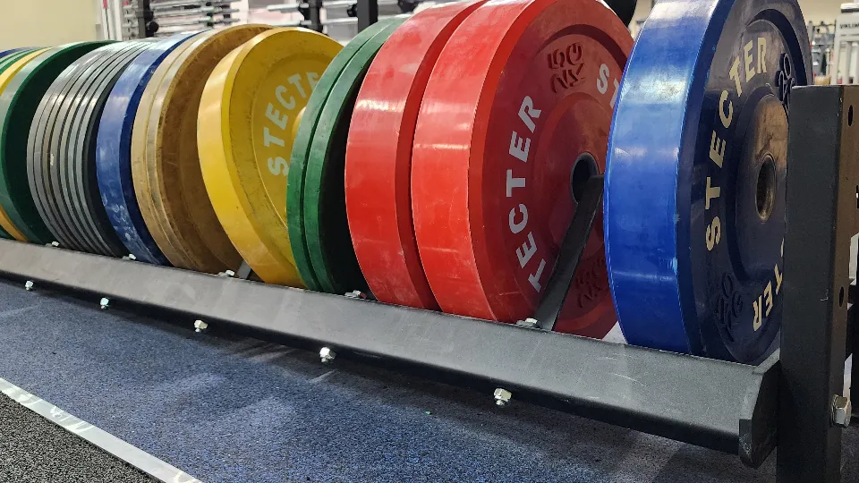 Фото: МедиаБанк Подмосковья/Ксения Пашуто