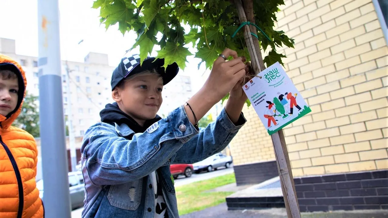 Фото: ИА «Все новости Лыткарино»