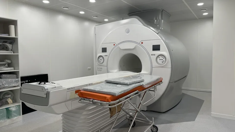 Фото: Полина Абраменко