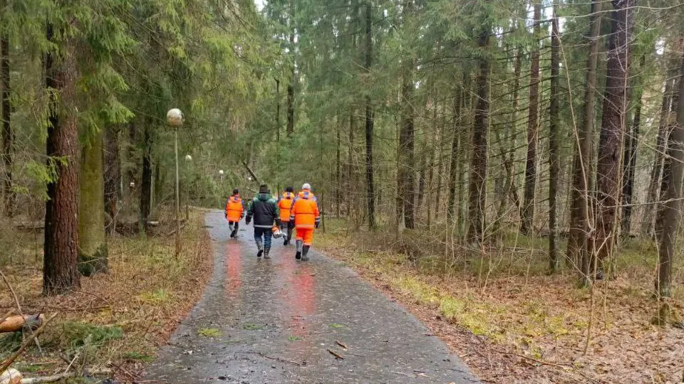 Фото: пресс-служба администрации г. о. Черноголовка