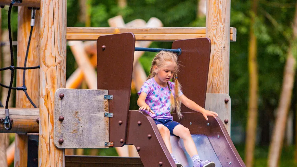 Фото: Министерство благоустройства Московской области