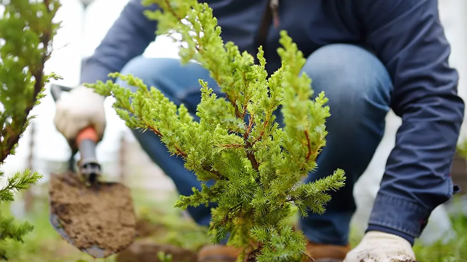 Фото: istockphoto.com/SbytovaMN