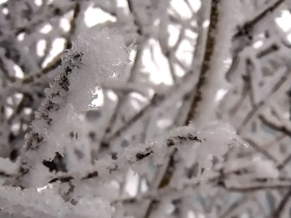 Фото: REGIONS/Роман Малышенко