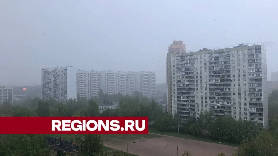 Фото: REGIONS/Дарья Назарова