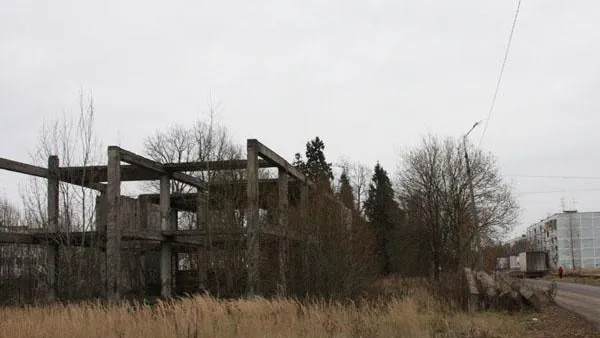 Александр Моздровский / Подмосковье Сегодня