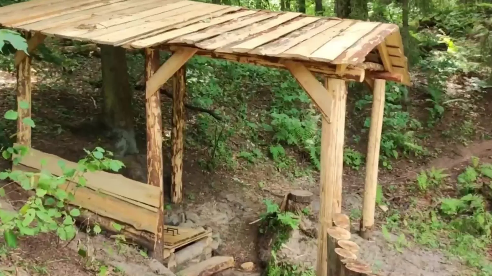 Фото: Комитет лесного хозяйства МО