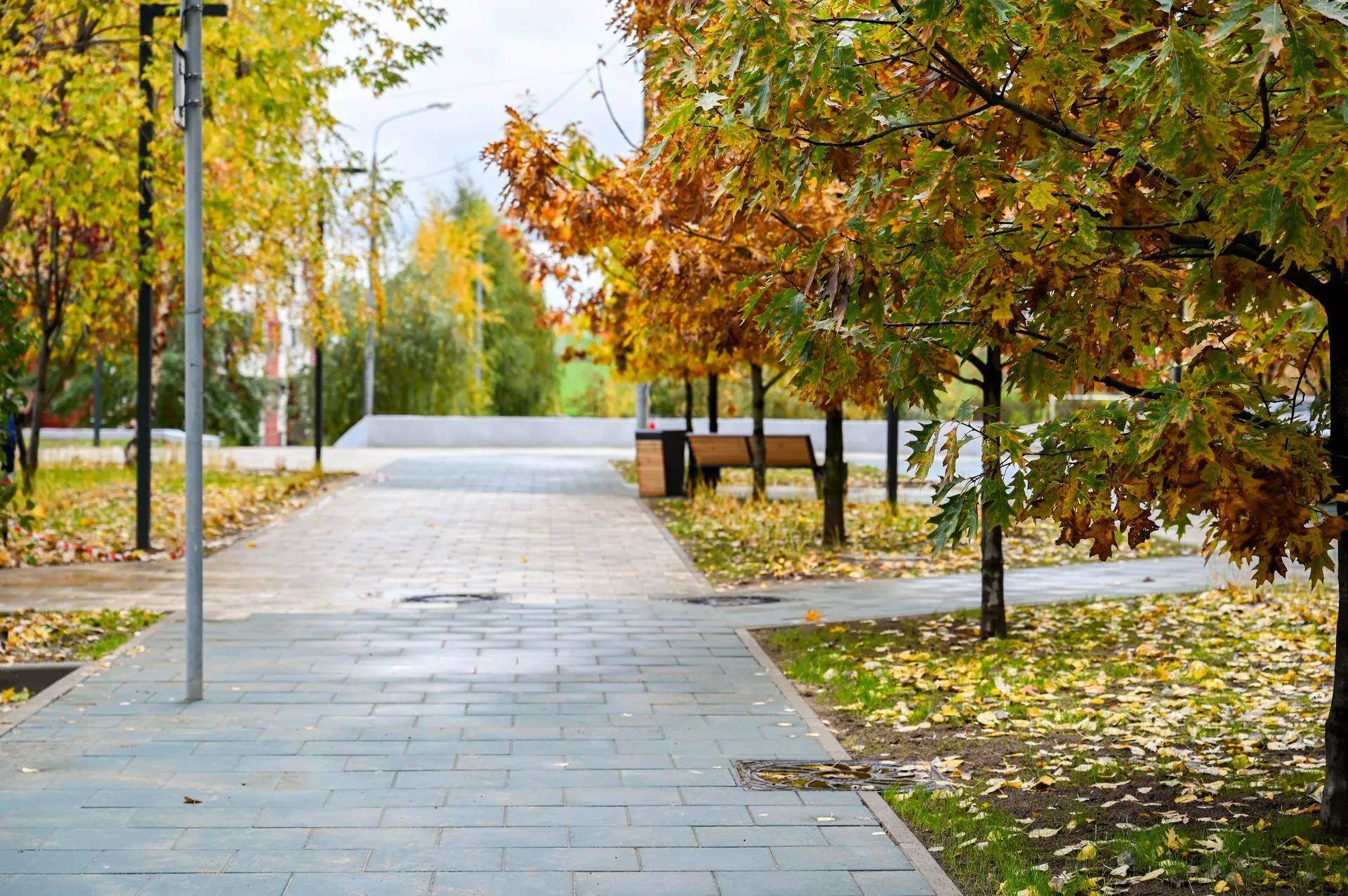 Фото: пресс-служба администрации г.о. Ленинский