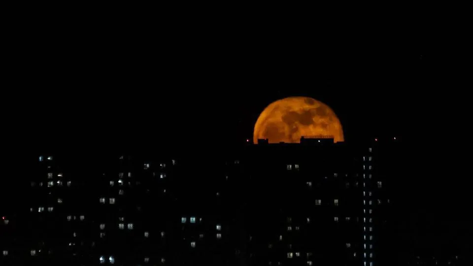 Фото: Ярослав Петров