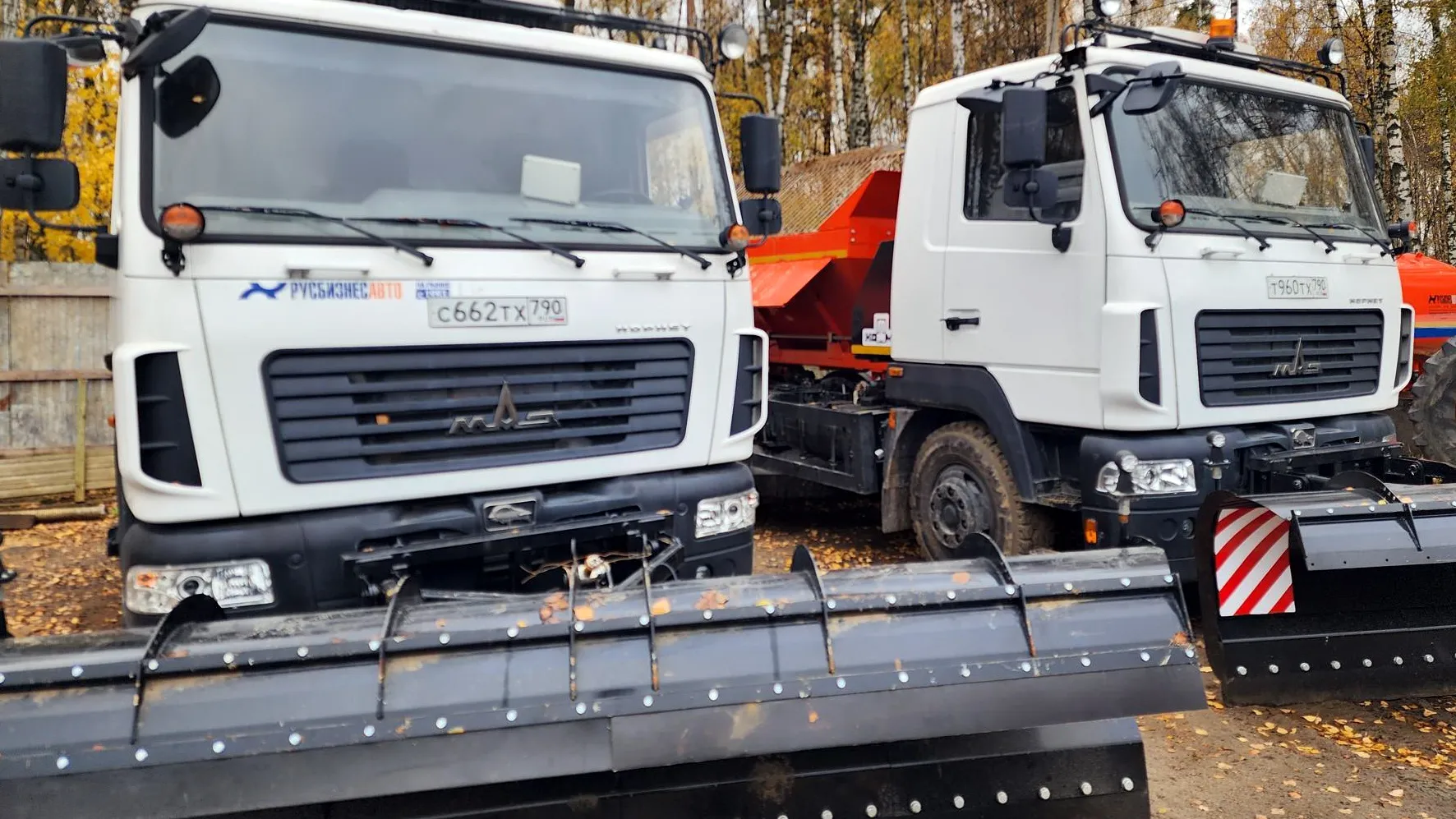 Фото: Ольга Аввакумова