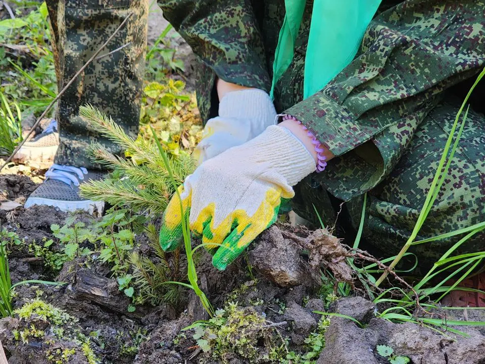 Фото: МедиаБанк Подмосковья/Яна Шаливская