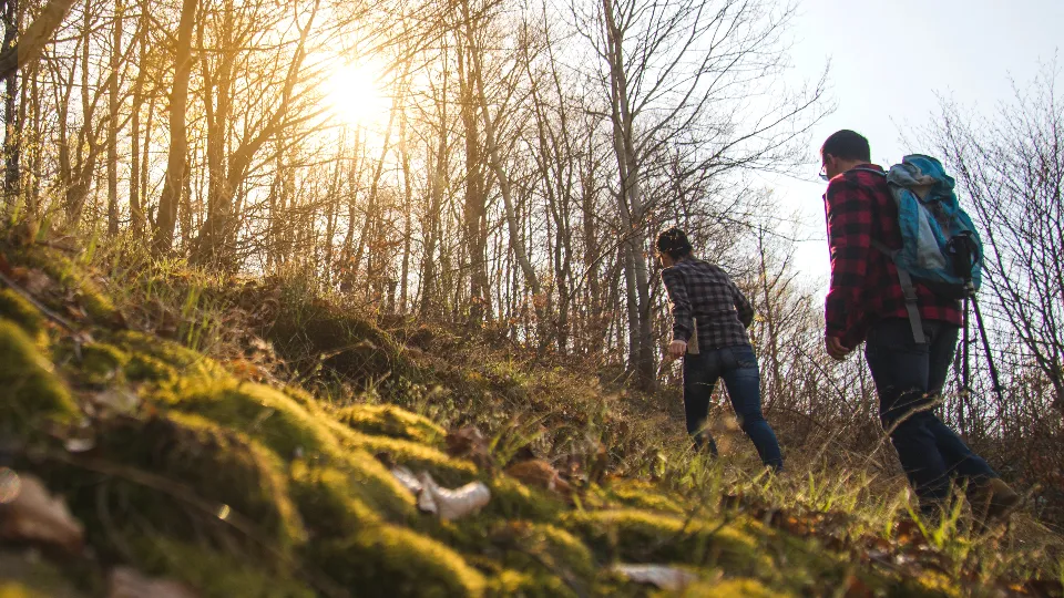 Фото: freepik.com