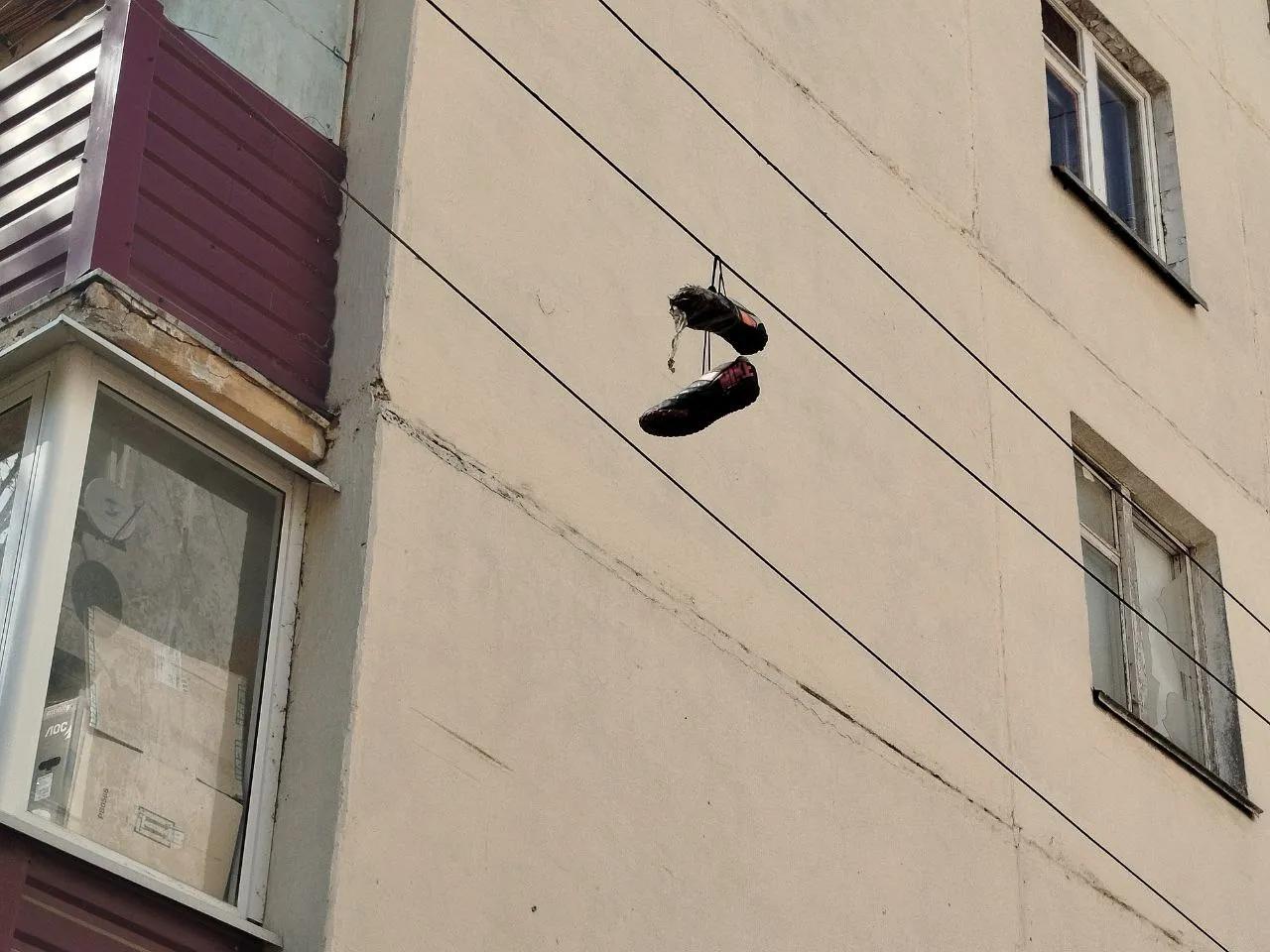 Фото: Наталья Дорофеева&nbsp;