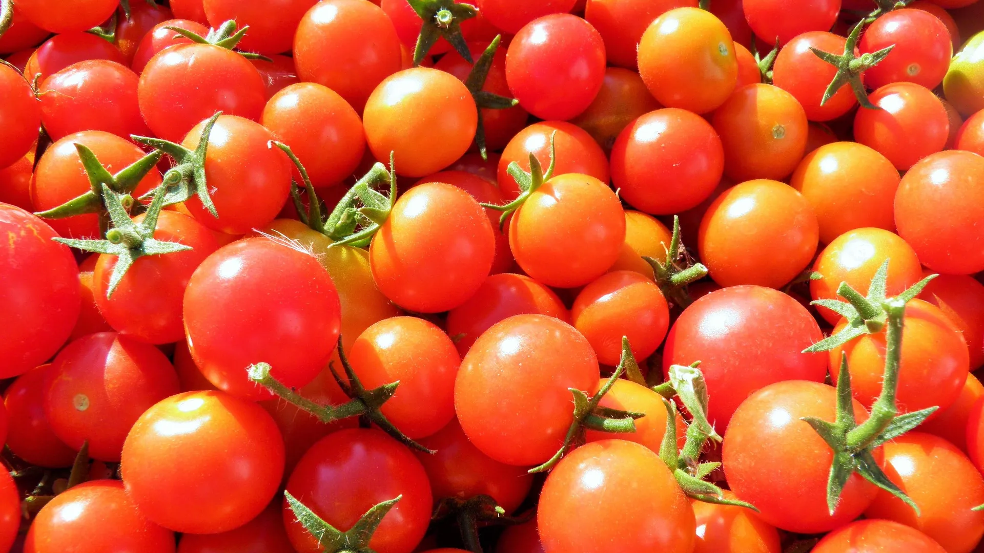 Фото: pxhere.com