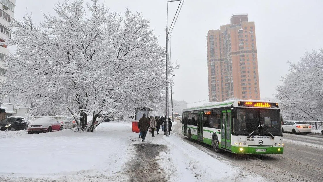 Фото: портал мэра и правительства Москвы