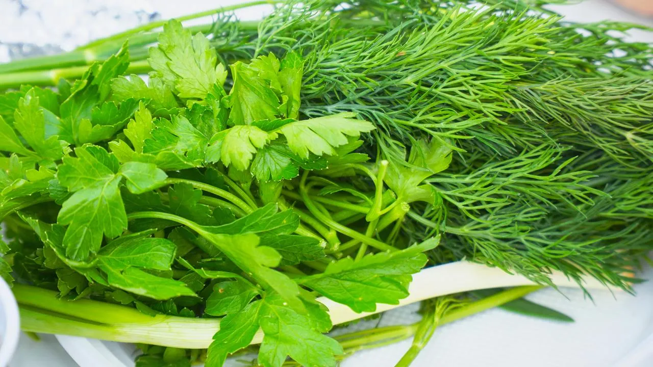 istockphoto.com/Pro2sound