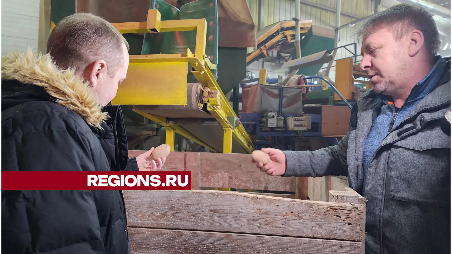 Фото: Светлана Плотникова