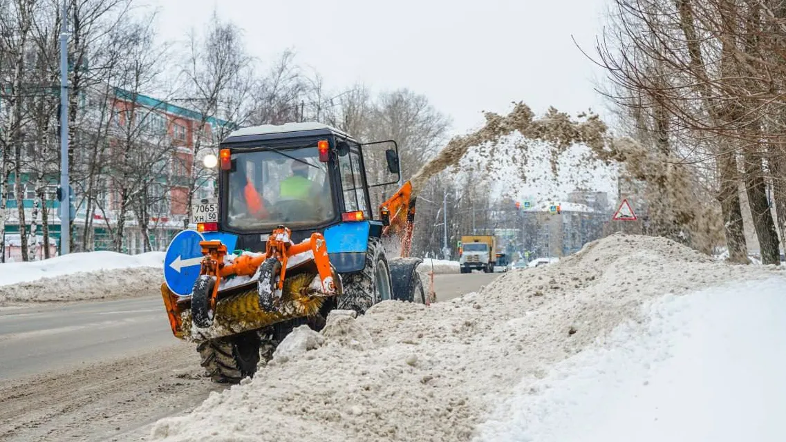 Фото: пресс-служба администрации Сергиево-Посадского г.о.