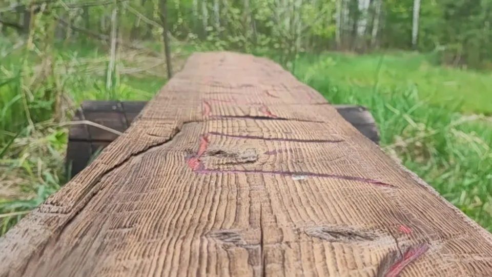 Фото: t.me/egorevskoelesnichestvo