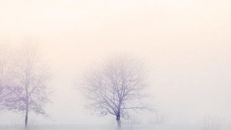 медиасток.рф