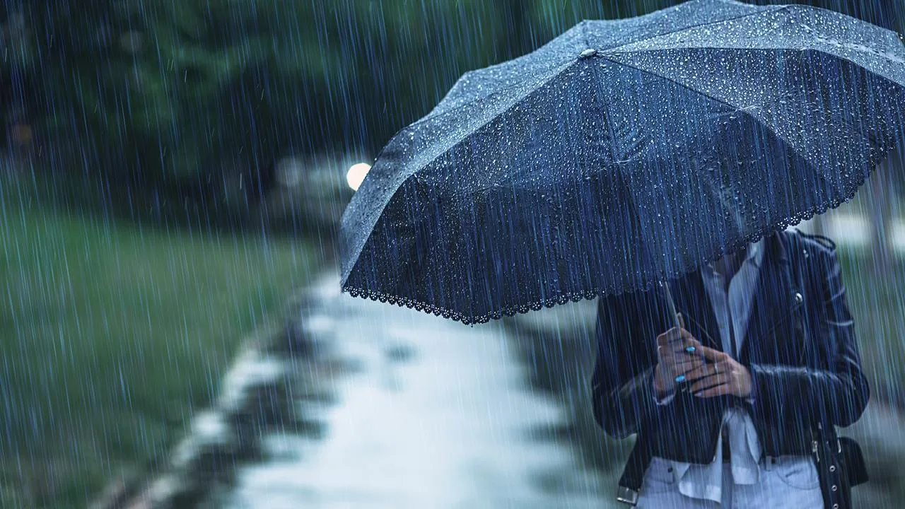 istockphoto.com
