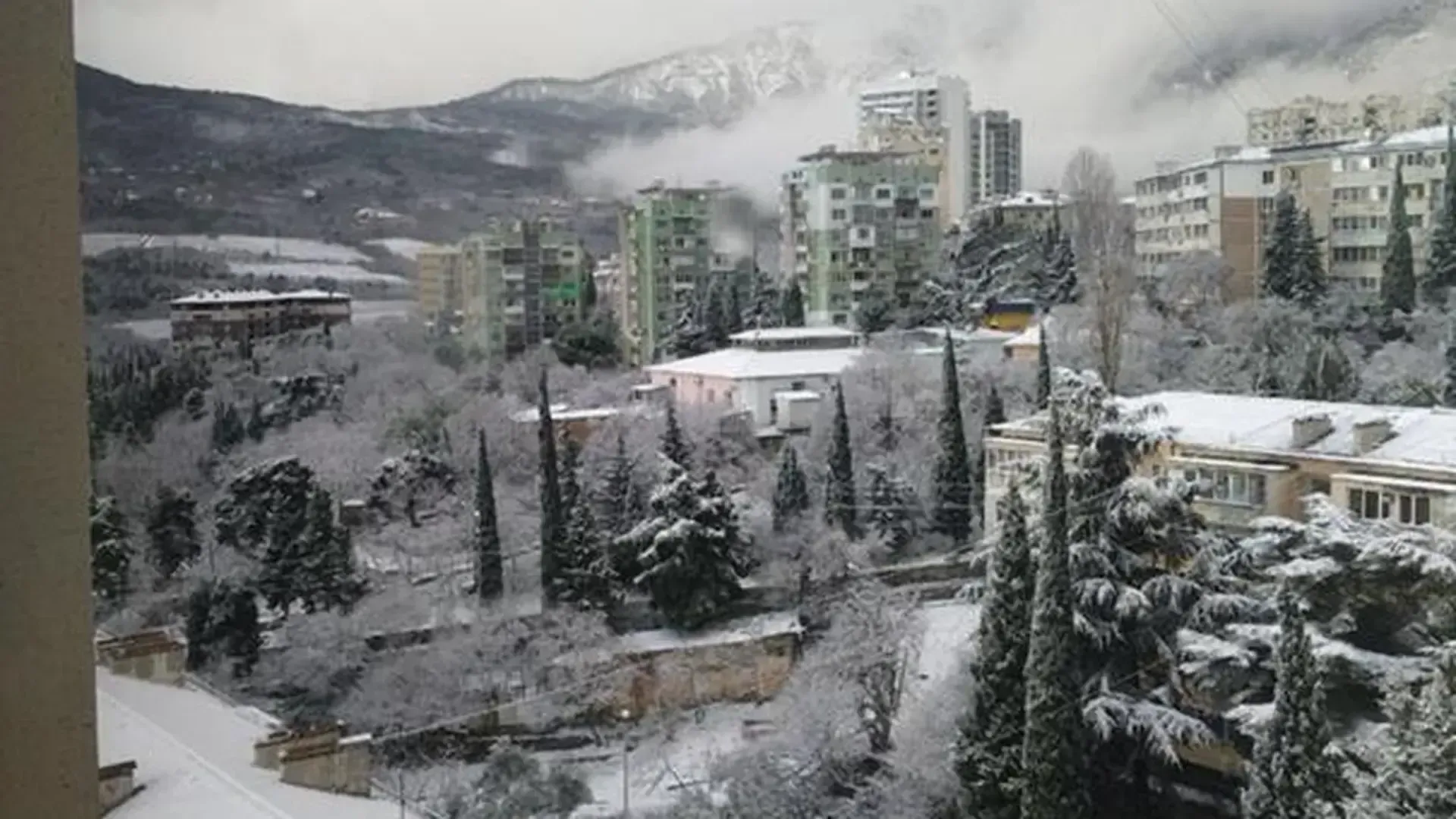 Фото: Daris558 в сообществе «ПОДСЛУШАНО ЯЛТА» ВКонтакте