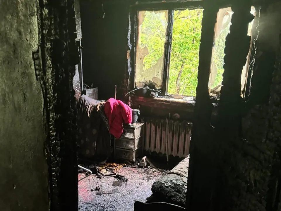 Фото: t.me/mosoblproc