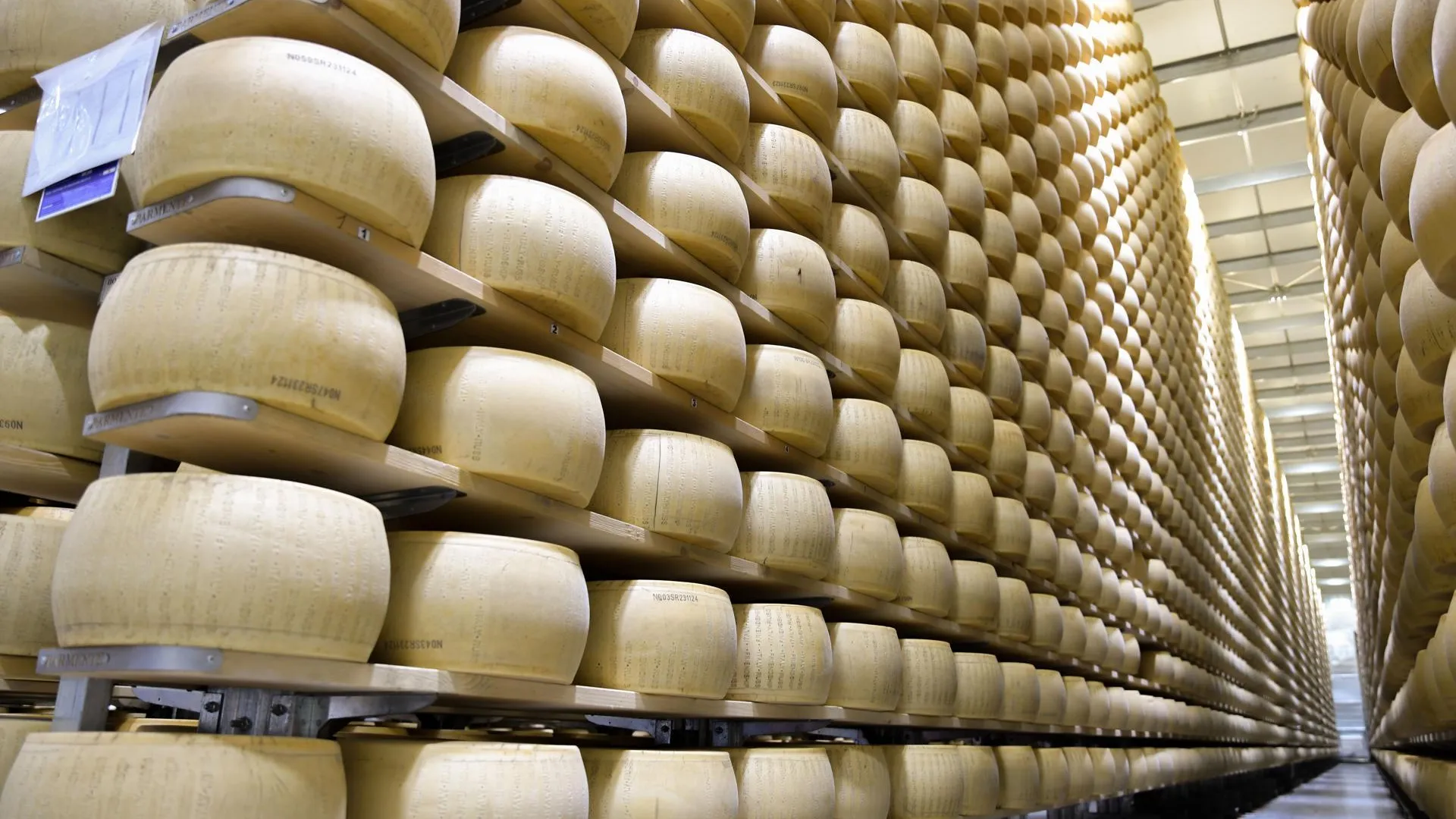 ООО "Сыровар"